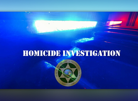 Homicide Investigation