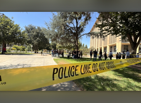 Courthouse Park Crime Scene