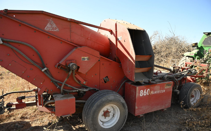 Recovered Flory Almond Conditioner CP87, Monday